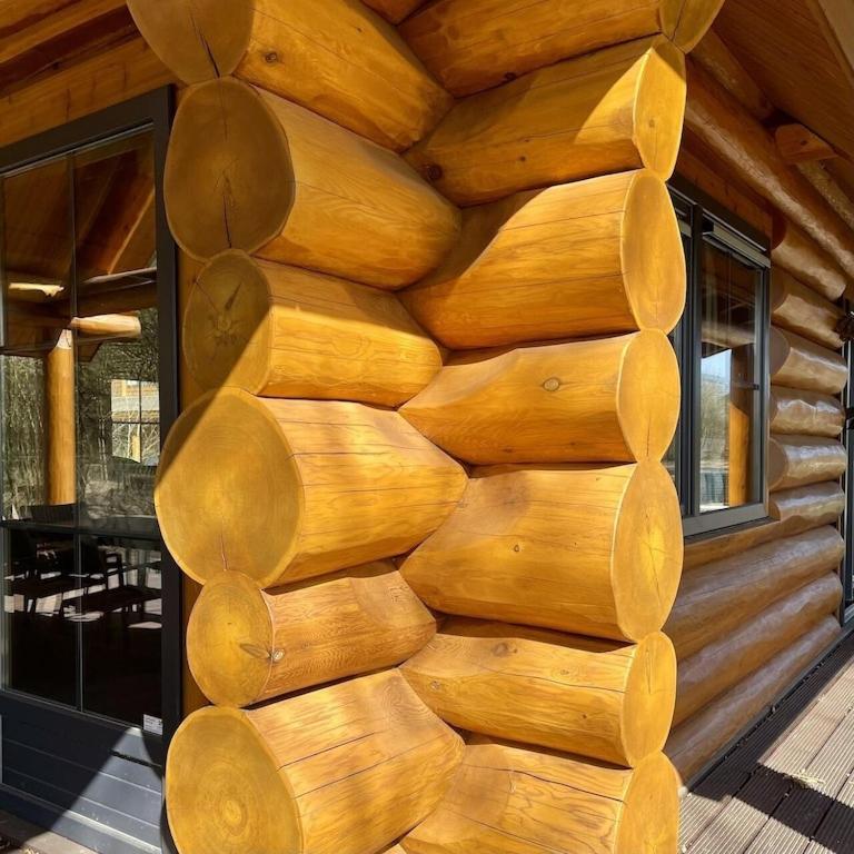 Unieke Houten Villa Met Sauna In Twente - 5P Den Ham Eksteriør billede